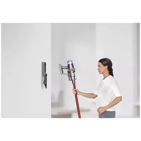 aspirateur balai dyson v11 fluffy
