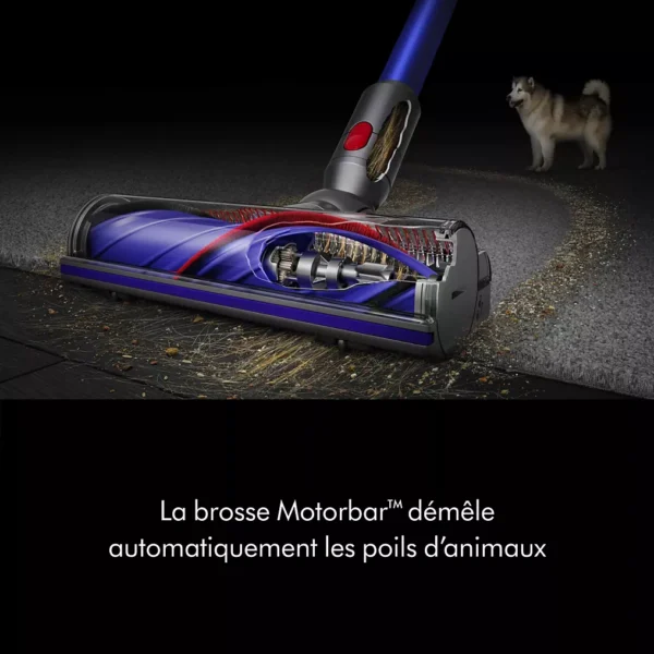 aspirateur balai dyson v11 advanced