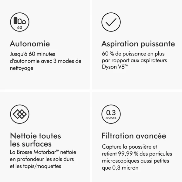 aspirateur balai dyson v11 advanced